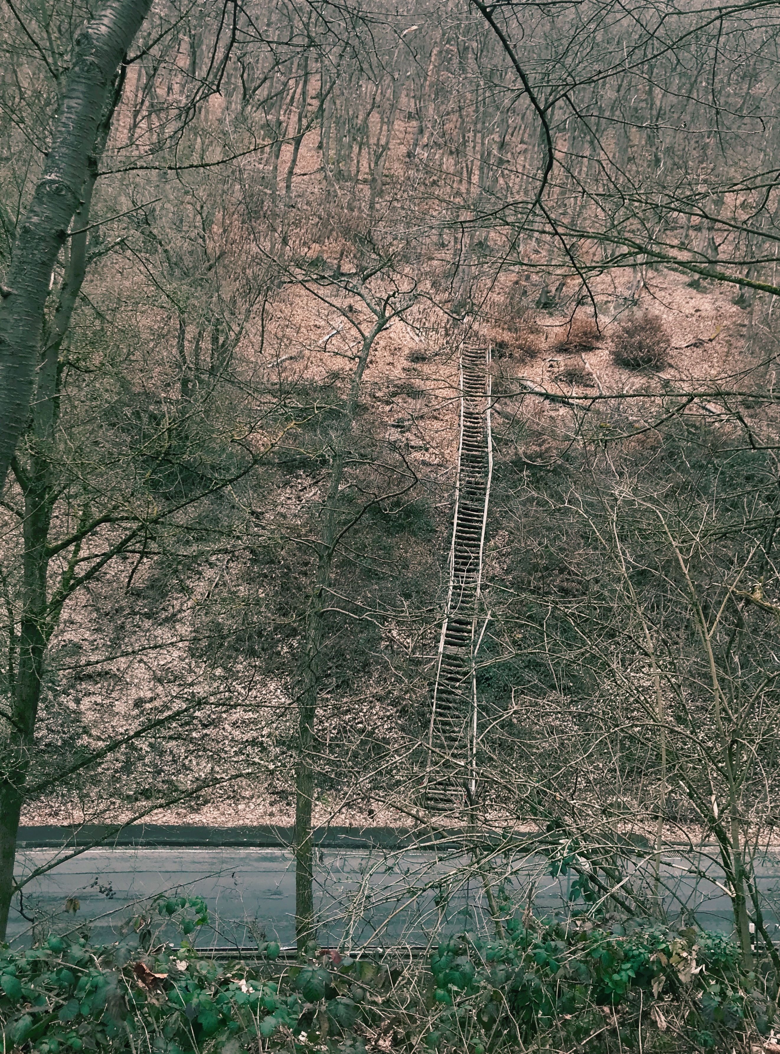 Himmelstreppe-on-the-rheinsteig-hiking-trail-in-germany