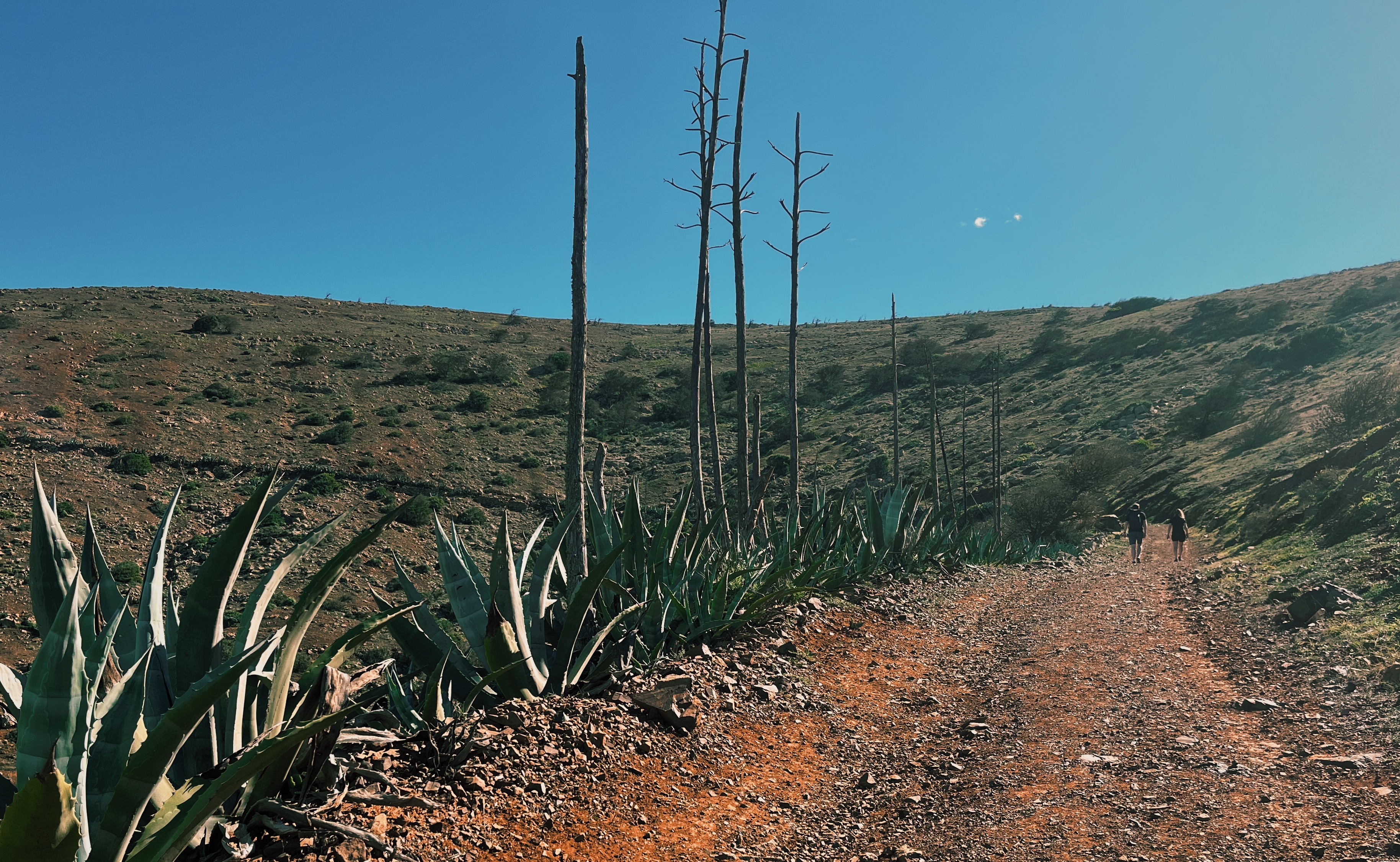 Two people hiking along long red gravel road with plants and shrubs on the side on Fuerteventura, Spain