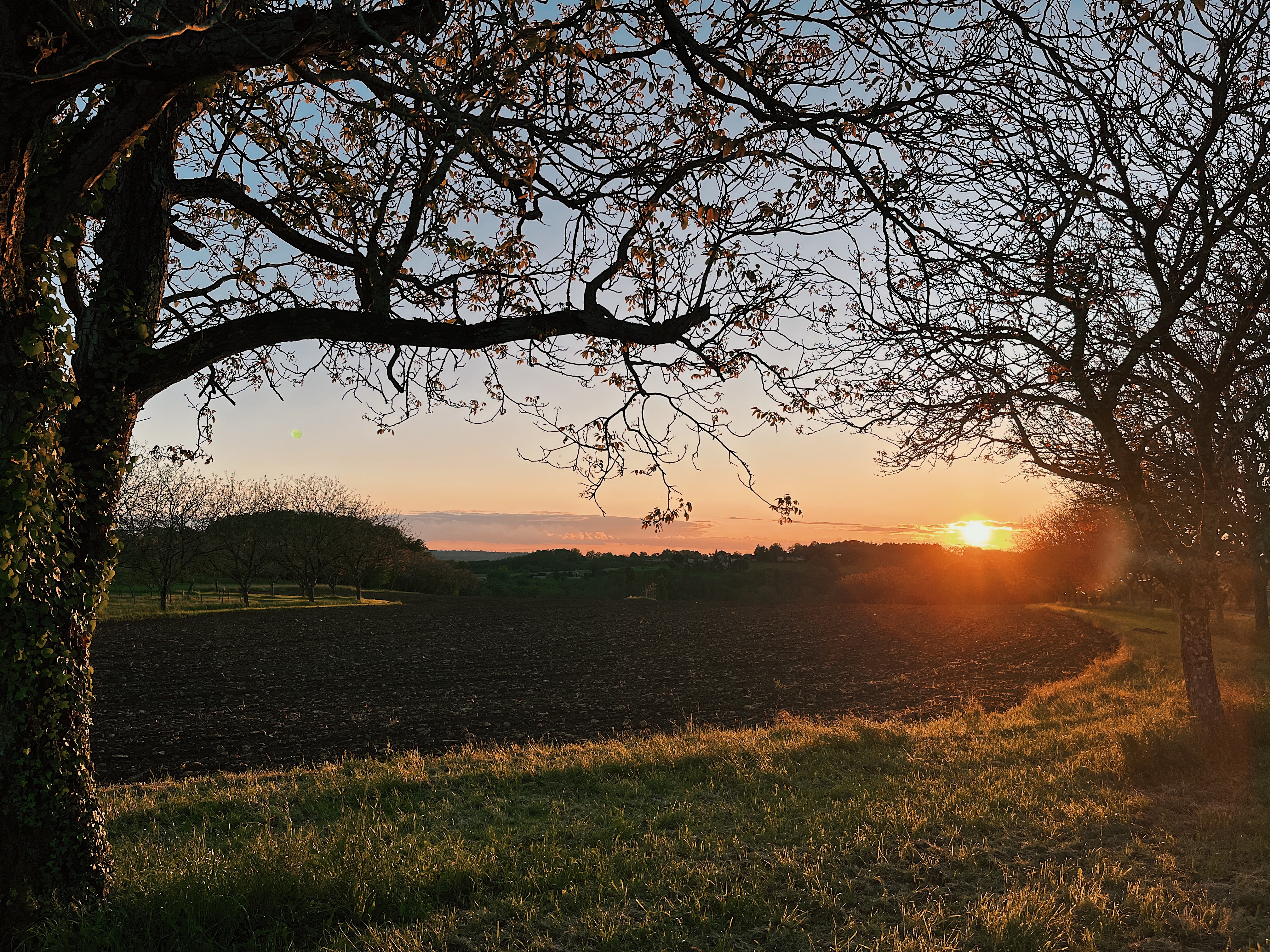 View of a sunset over a field