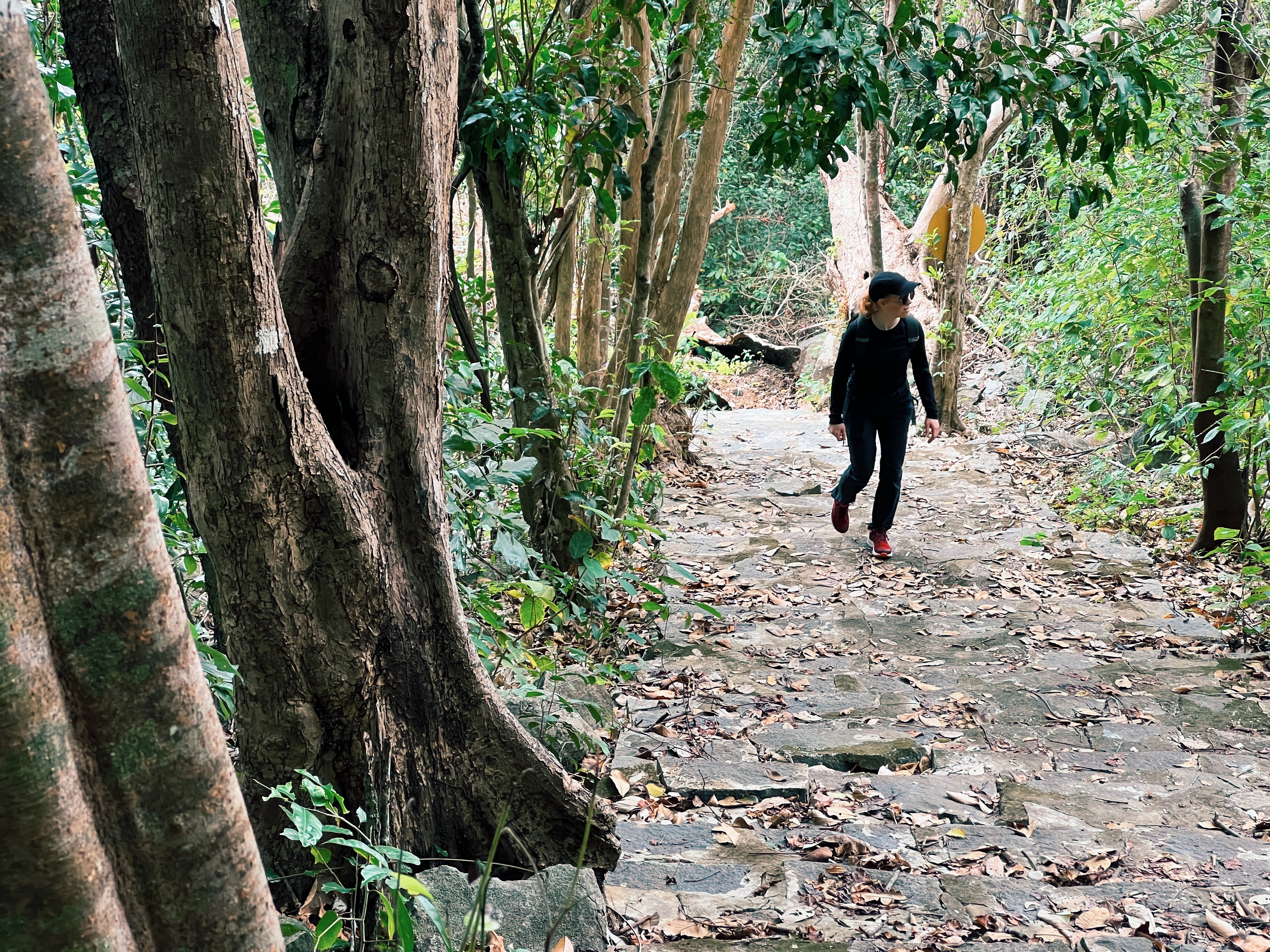 Woman hiking up stairs in the jungle on Con Dao Island, Vietnam